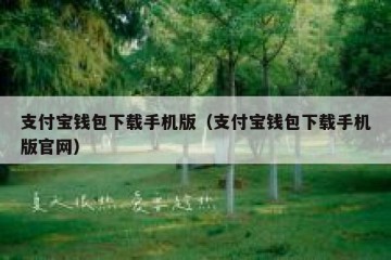 支付宝钱包下载手机版（支付宝钱包下载手机版官网）