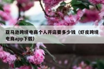 亚马逊跨境电商个人开店要多少钱（虾皮跨境电商app下载）