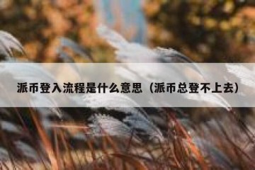 派币登入流程是什么意思（派币总登不上去）