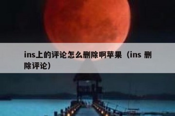 ins上的评论怎么删除啊苹果（ins 删除评论）