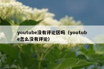 youtube没有评论区吗（youtube怎么没有评论）