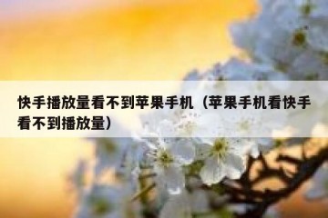 快手播放量看不到苹果手机（苹果手机看快手看不到播放量）