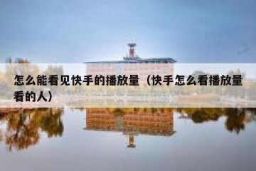 怎么能看见快手的播放量（快手怎么看播放量看的人）