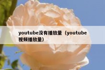 youtube没有播放量（youtube视频播放量）