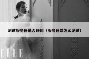 测试服务器是否联网（服务器端怎么测试）