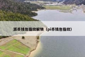 派币钱包指纹解锁（pi币钱包指纹）