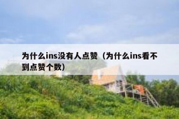 为什么ins没有人点赞（为什么ins看不到点赞个数）