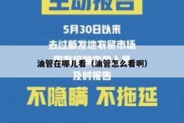 油管在哪儿看（油管怎么看啊）