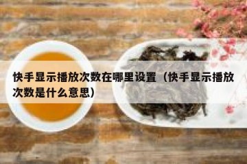 快手显示播放次数在哪里设置（快手显示播放次数是什么意思）