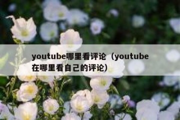 youtube哪里看评论（youtube在哪里看自己的评论）