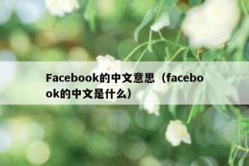 Facebook的中文意思（facebook的中文是什么）