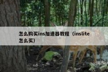 怎么购买ins加速器教程（inslite怎么买）