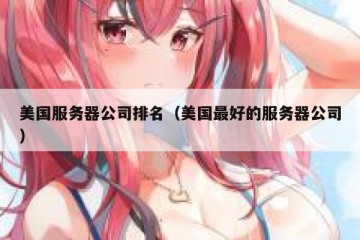 美国服务器公司排名（美国最好的服务器公司）