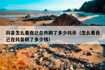 抖音怎么看自己总共刷了多少抖币（怎么看自己在抖音刷了多少钱）
