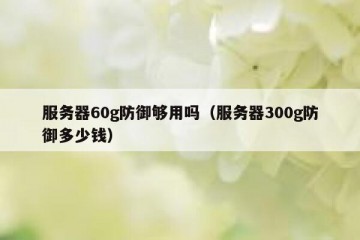 服务器60g防御够用吗（服务器300g防御多少钱）