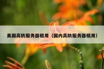 美国高防服务器租用（国内高防服务器租用）