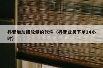 抖音增加播放量的软件（抖音业务下单24小时）
