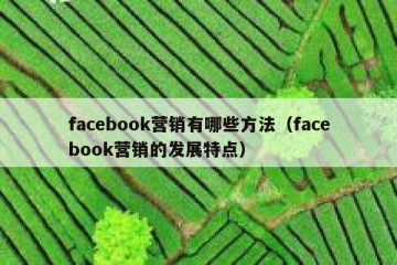 facebook营销有哪些方法（facebook营销的发展特点）