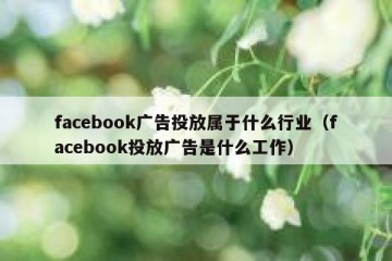 facebook广告投放属于什么行业（facebook投放广告是什么工作）