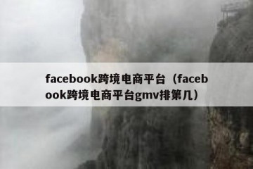 facebook跨境电商平台（facebook跨境电商平台gmv排第几）