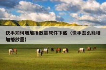 快手如何增加播放量软件下载（快手怎么能增加播放量）