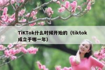 TiKTok什么时候开始的（tiktok成立于哪一年）