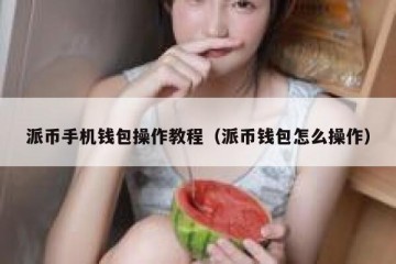 派币手机钱包操作教程（派币钱包怎么操作）