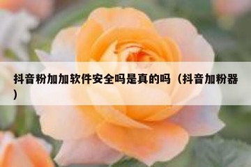 抖音粉加加软件安全吗是真的吗（抖音加粉器）