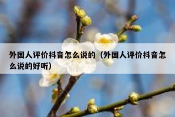 外国人评价抖音怎么说的（外国人评价抖音怎么说的好听）