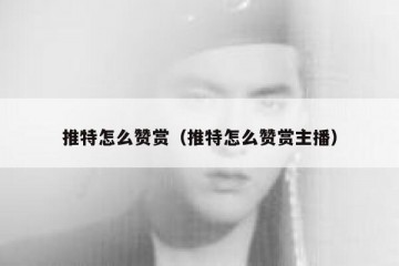 推特怎么赞赏（推特怎么赞赏主播）