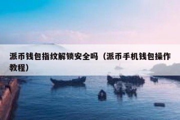 派币钱包指纹解锁安全吗（派币手机钱包操作教程）