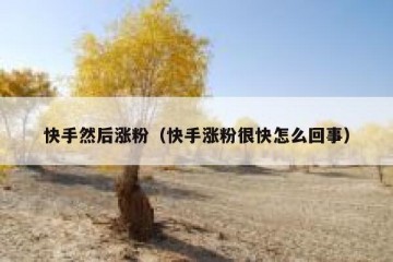 快手然后涨粉（快手涨粉很快怎么回事）