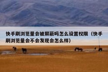 快手刷浏览量会被屏蔽吗怎么设置权限（快手刷浏览量会不会发现会怎么样）