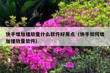 快手增加播放量什么软件好用点（快手如何增加播放量软件）