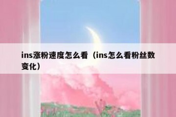 ins涨粉速度怎么看（ins怎么看粉丝数变化）