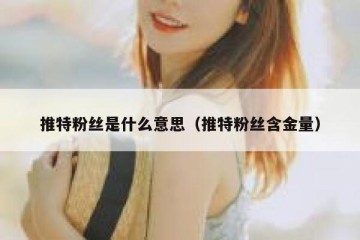 推特粉丝是什么意思（推特粉丝含金量）