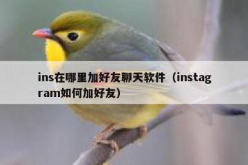 ins在哪里加好友聊天软件（instagram如何加好友）
