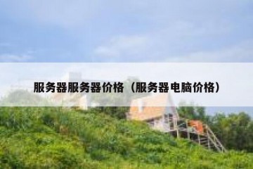 服务器服务器价格（服务器电脑价格）