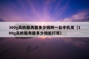 300g高防服务器多少钱啊一台手机用（100g高防服务器多少钱能打死）