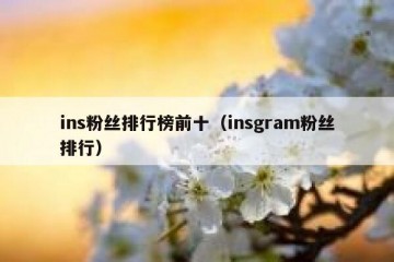 ins粉丝排行榜前十（insgram粉丝排行）