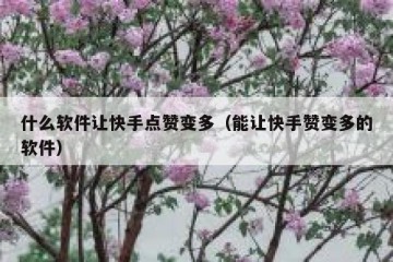 什么软件让快手点赞变多（能让快手赞变多的软件）