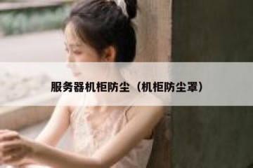 服务器机柜防尘（机柜防尘罩）
