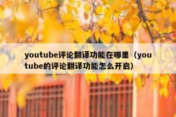 youtube评论翻译功能在哪里（youtube的评论翻译功能怎么开启）