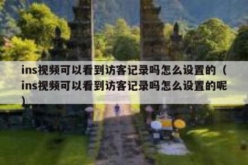 ins视频可以看到访客记录吗怎么设置的（ins视频可以看到访客记录吗怎么设置的呢）