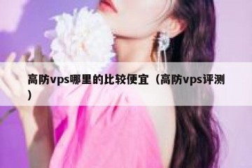 高防vps哪里的比较便宜（高防vps评测）