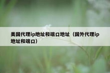 美国代理ip地址和端口地址（国外代理ip地址和端口）