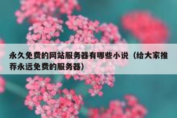 永久免费的网站服务器有哪些小说（给大家推荐永远免费的服务器）