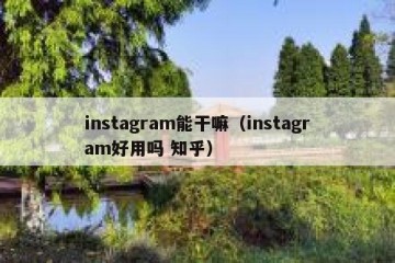 instagram能干嘛（instagram好用吗 知乎）
