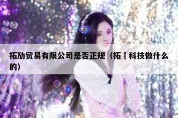 拓劢贸易有限公司是否正规（拓荊科技做什么的）