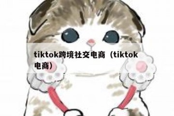 tiktok跨境社交电商（tiktok 电商）